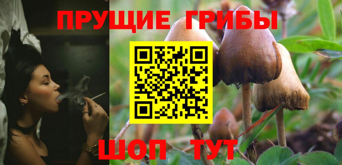 Галлюциногенные грибы Cubensis Ялуторовск