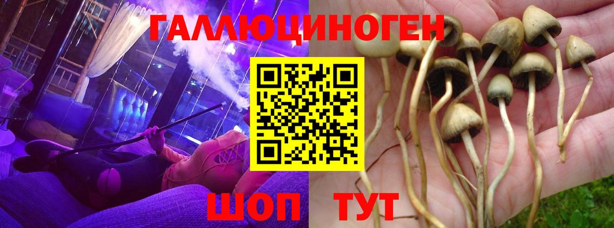 МЕФ Ялуторовск